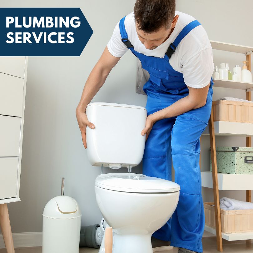 Plumbing Company in Lohrville, IA